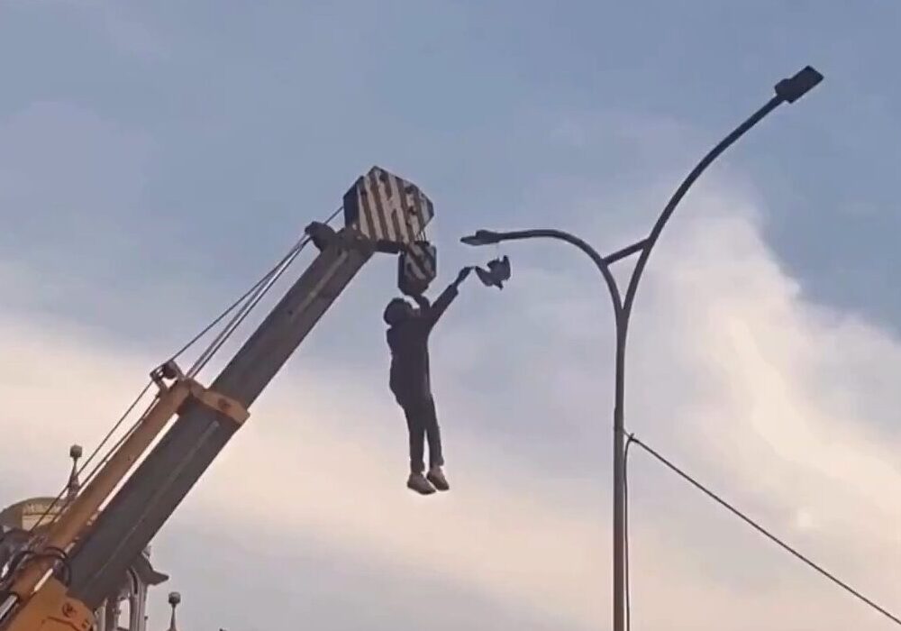 Young man saves bird in Punjab